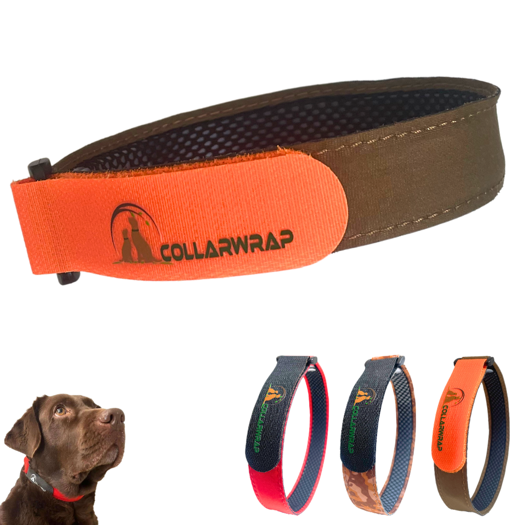 Funda Collar Aniparasitario Verde COLLARWRAP, , large Imagen numero 3